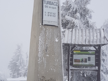 Turbacz 1310 m n.p.m.